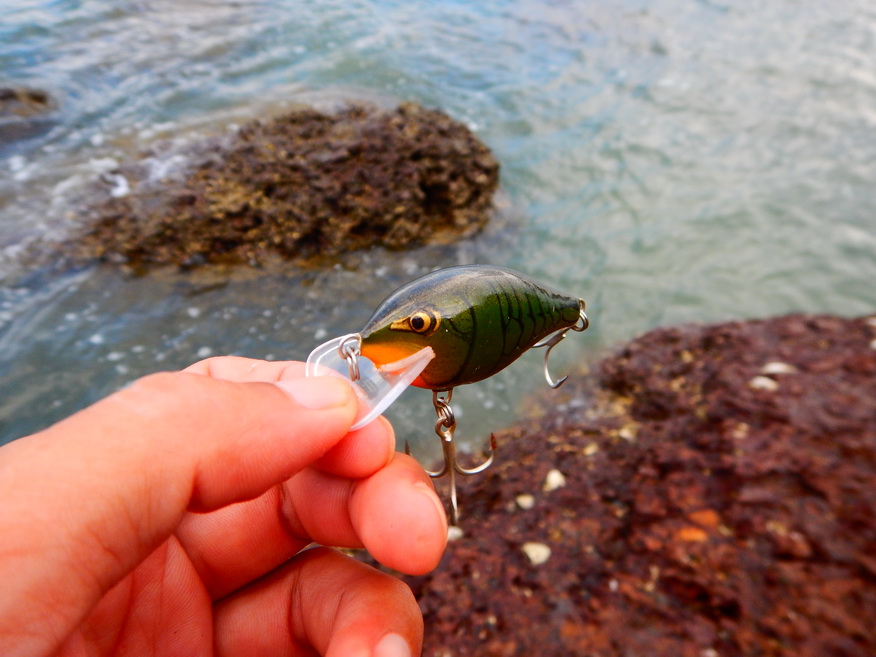 

ลองเปลี่ยนมาเป็นตัวนี้ดูบ้างครับ Rapala scatter rap crank 5cm  :cheer: :cheer: :cheer: :cheer: :