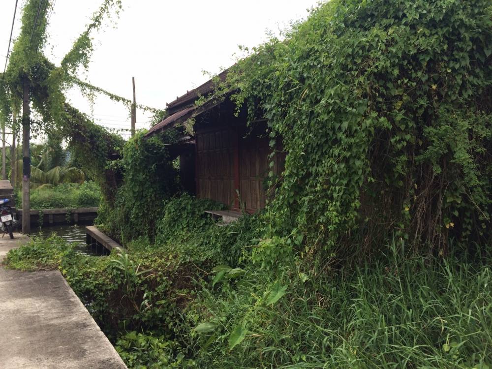 เดินมาถึงบ้านร้างในตำนาน
บรรยากาศใช้ได้เลยครับ
เดินผ่านกลางคืนนี่มีวิ่งแน่ๆ :laughing:  :laughing: