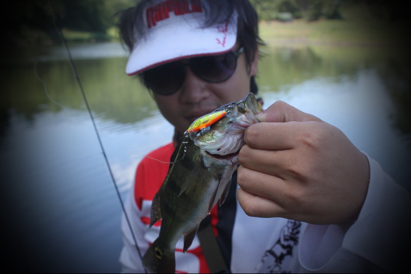 Rapala CD  :cheer: :cheer: :cheer: