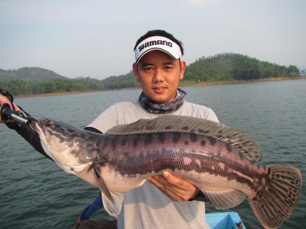 และแล้ว Thai Angler ก็ใช้วิชาตีจิบที่ฝึกเช่นเคยทำให้ได้มาอีก 1 ตัว