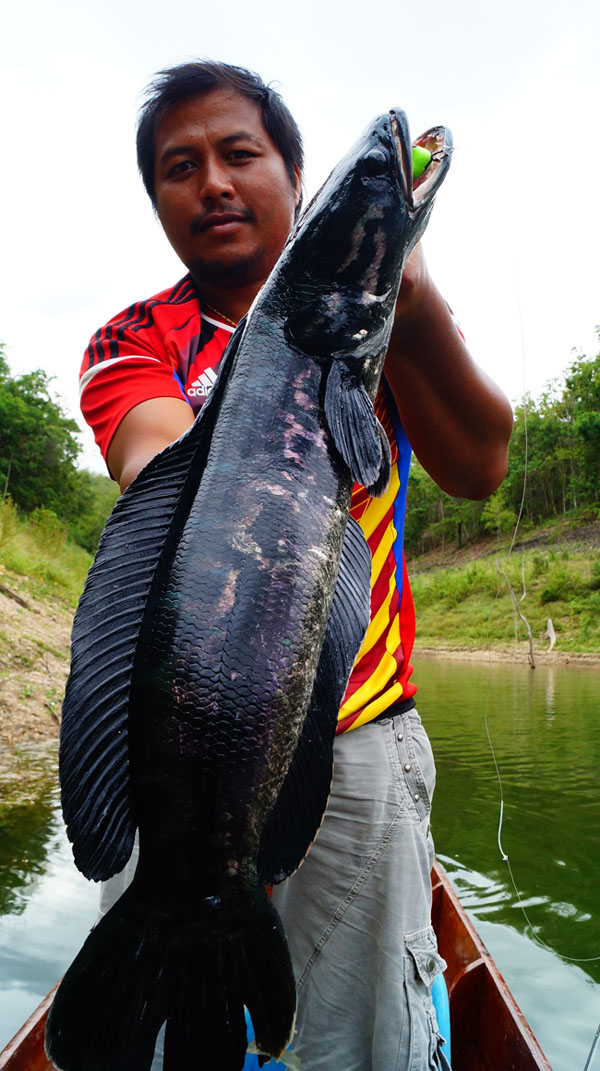 หมื่นอ่าง นายกองเรือ ผู้นำทาง ร่วมยินดี กับ เชลยตัวแรกด้วย :love: :love: :love: :love: :love: :love: