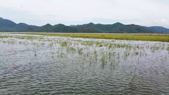 ทริปสั้นๆที่เขื่อนปราณบุรี 