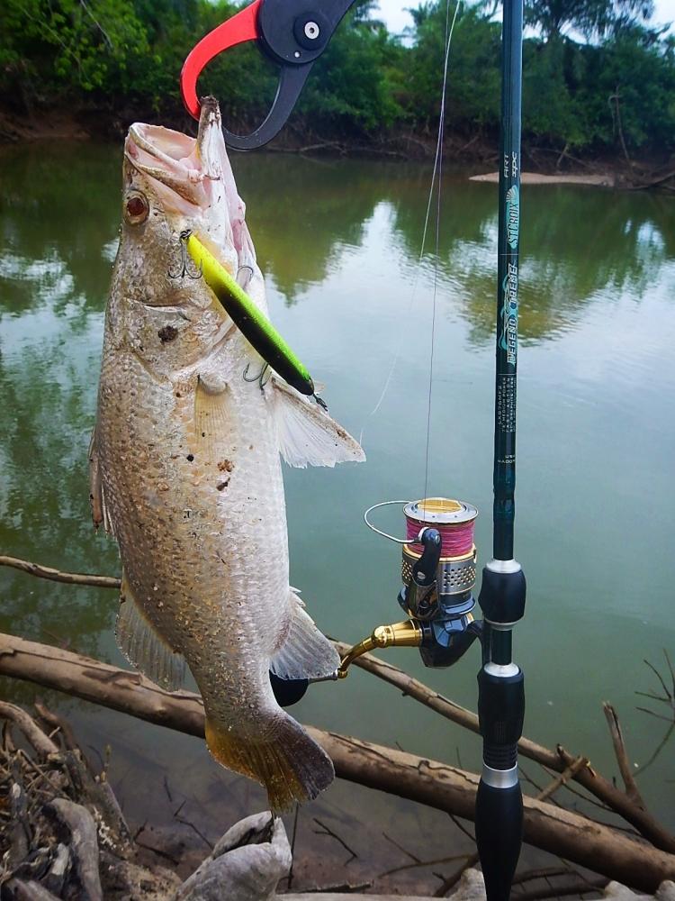 
 [center]Rod : St.croixLEGENDXTREME SPINNING ROD LXS76MF2 6 - 12
Reel : Shimano '2010 Stella 400