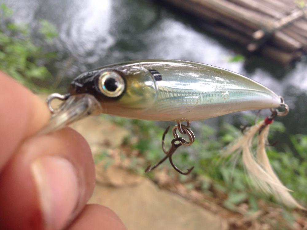  [b]กลับขึ้นฝั่งมาแล้ว...ลองเปลี่ยนขนาดเหยื่อดูบ้าง[/b]
 [b]Rapala X-Rap 10[/b]

 :love: :love: :