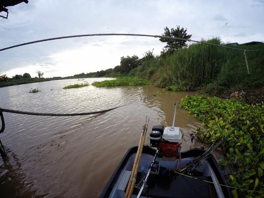 

 [center] [b]ข้างแพท้ายเรือปลาแดงไล่กัดลูกปลาเยอะมาก แต่ไม่กล้าตกไม่รู้ทางแพเขาหวงป่าว เห็นแล้วม