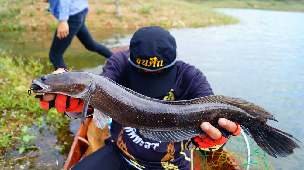 แลสุดท้าน ธาตุไฟแตก กระโดดลงเรือ เดินไล่ล่า  เอีะ ! หรือว่า กระสุนขัดลำกล้องกันแน่หว่า กรีากกกกกกกกก