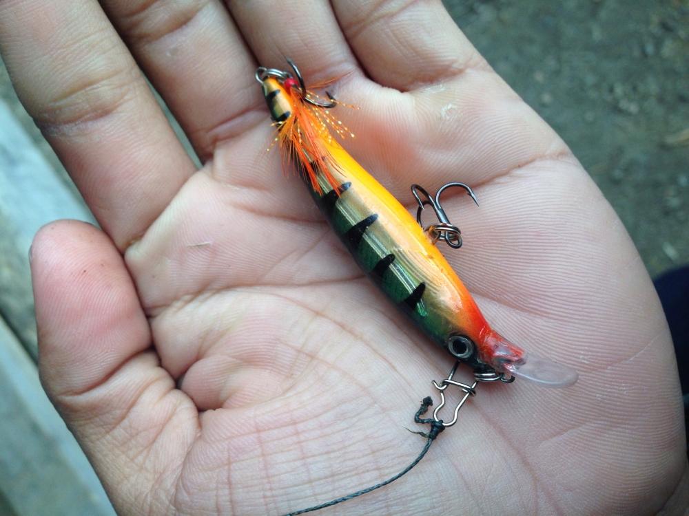 ใช้เหยื่อปลั๊กขนาดเล็ก เนื่องจากปากปลาเทร้าค่อนข้างเล็ก ผมเลือกใช้Rapala x-rap 6cm