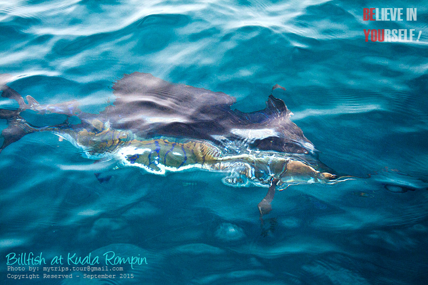  :talk: เธอคือเทพธิดาผู้เลอโฉมแห่งท้องทะเล [Subtitle: She is the beautiful angel of the sea.]  :rose