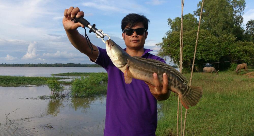 ถ่ายรูปเสร็จ เลยมอบให้ลุงที่ให้ผมยืมเรือเพื่อไปตีกระสูบเป็นประจำพามันกลับบ้านไป  :frown: :frown: :fr