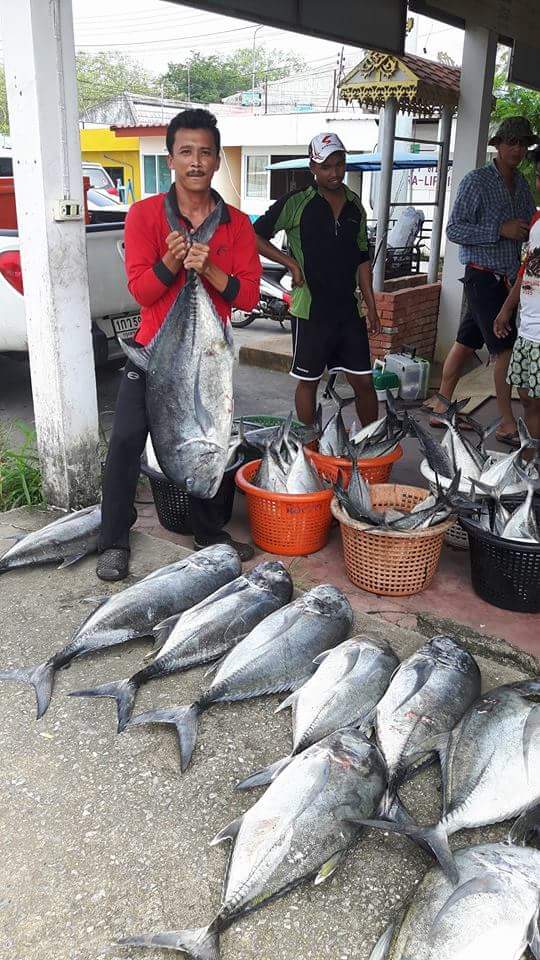 ขอขอบคุณ บังหมุดแห่งเรือตกปลาเอกมัย  ที่พาพวกเราไปสนุกกัน2ทริพติดๆกันเลย  ทริพต่อไป ณ หมายหินแดง  24