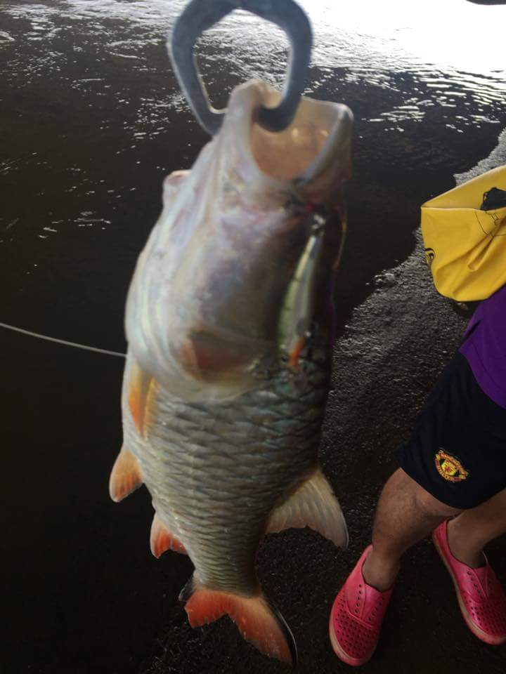 เรียบร้อยครับ  ประเดิมเหยื่อเลยครับ กับ Rapala X-rap 4

 :cheer: