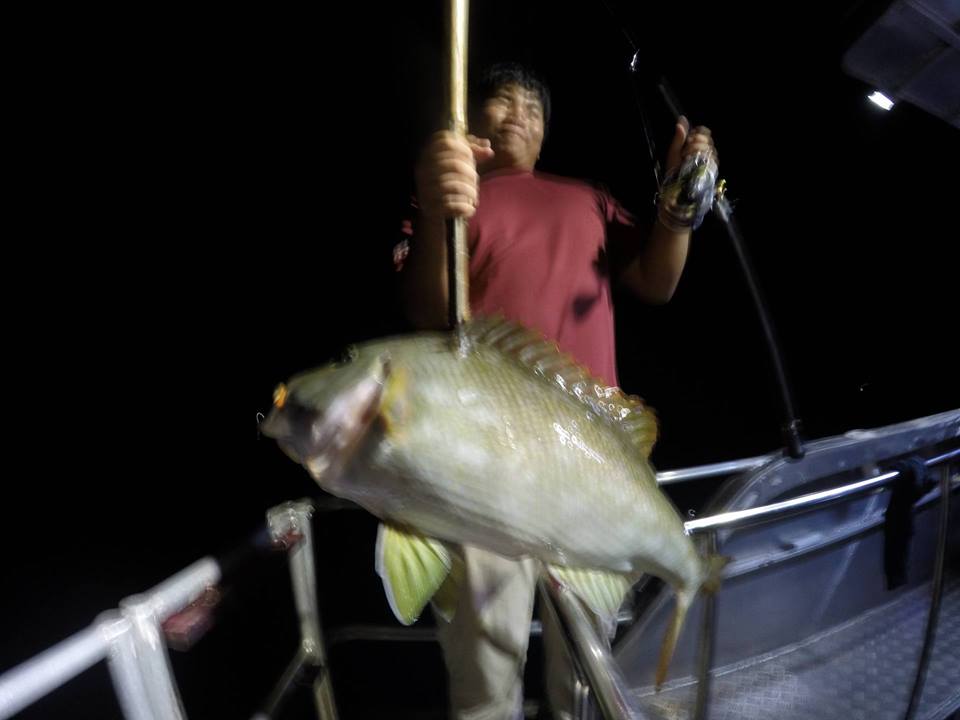   

ปลาหัวเสี้ยมในเวลากลางคืน  จากการจิ๊กกิ้งครับ

 :cool: :cool: :cool: