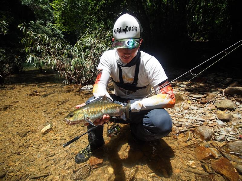  [center] [b] 
Rod: Geecrack Double Dutch Catwalk 70UL 2-8lbs 

Lure: Geecrack Leaf Shrimp 2.8" 