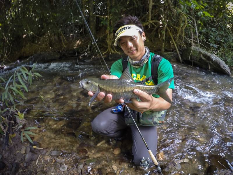   [center] [b] 

Rod: Geecrack DD Galaxxy Marionette 64L 3-8lbs

Lure: Geecrack Leaf Shrimp 2.8