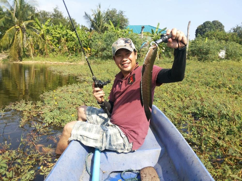 ขึ้นมาแว้ววว ไซต์สวยเลยครับ ตัวแรก 

ROD : Palm molla
REEL : PX 68L SPR
LURE : Rapala RPR