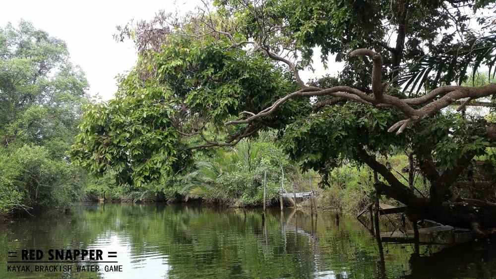 บางช่วงก็ต้องหยุดพาย จอดเรือนิ่งๆ ดูบรรยากาศณ.เบื้องหน้า  