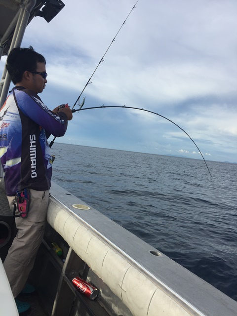 Rod:Spartans Prototype Nicobar Special pe2
Reel: Okuma Komodo
Line: Pioneer Dhamelon pe1.2
Leader