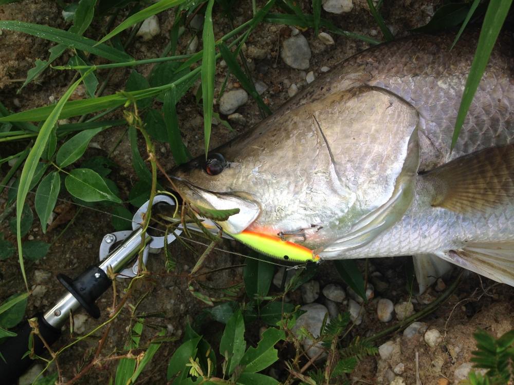 ตัวนี้ 6 กิโล 
รอก shimano scorpion xt 1001
สาย famell sw pe 2
สาย ฟูโล 40 ปอน์
เหยื่อ rapala fl