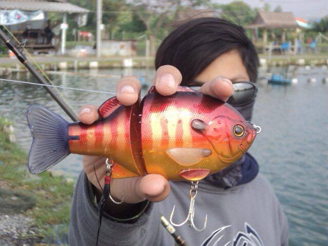                                                      My brother with his toy   (ขออภัยบางรูปถ่ายจากก