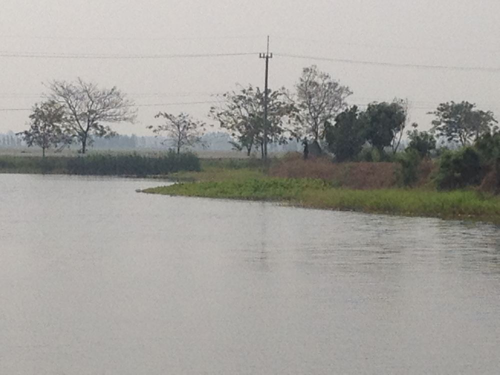 ต่างคนต่างหาทำเลในการขุดปลาช่อนคร