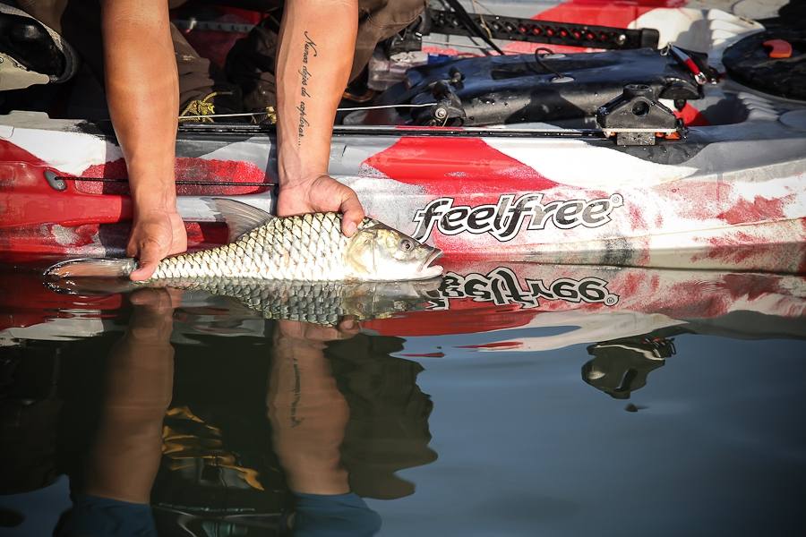  [center] [b] 
เริ่มวันนี้ เพื่อวันข้างหน้า


Feelfree Kayak Lure 11.5

Rod: Geecrack DD Galax