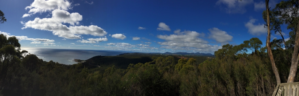 [Va]... ตก Rainbow Trout ที่ Tasmania ...[nZ]