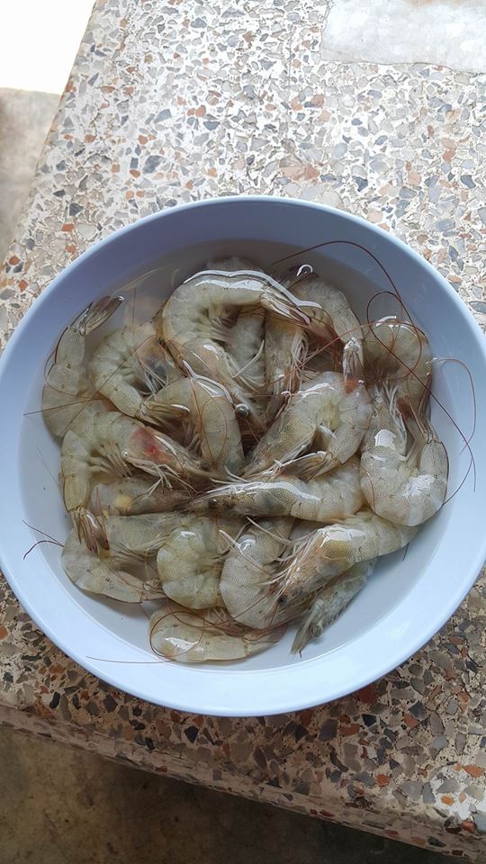 กุ้งที่เหลือจากตกปลา 50บาท ได้ทั้งปลา ได้ความสนุก แถมได้กับข้าวอีก1จาน