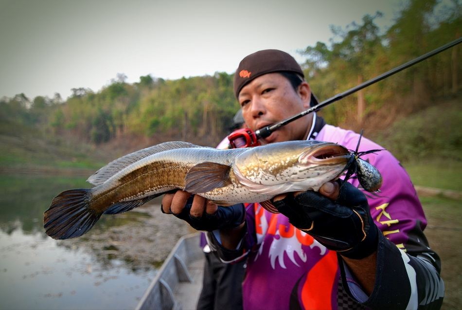  [q][center]

** ลากันด้วยภาพนี้เลยนะครับ......ขอบคุณทุกท่านที่ติดตามชมผลงานกันนะครับ :prost: :pro