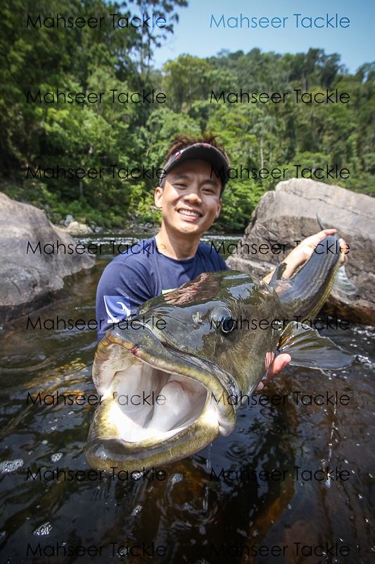  [center] [b]

ไม่มีฟันเหมือนปลากระสูบ เซฟที่สุดสำหรับการตกปลาขนาดใหญ่และหายาก

Catch and Releas