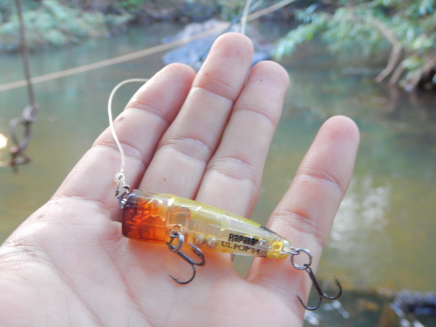 

ตัวเหยื่อที่ใช้ก็นี่หละครับ Rapala ultralight pop 4cm   :grin: :grin: :grin:

เนื่องจากช่วงที่