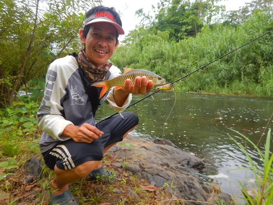 

กับเหยื่อ Rapala ultralight pop 4cm  :cheer: :cheer: :cheer:






