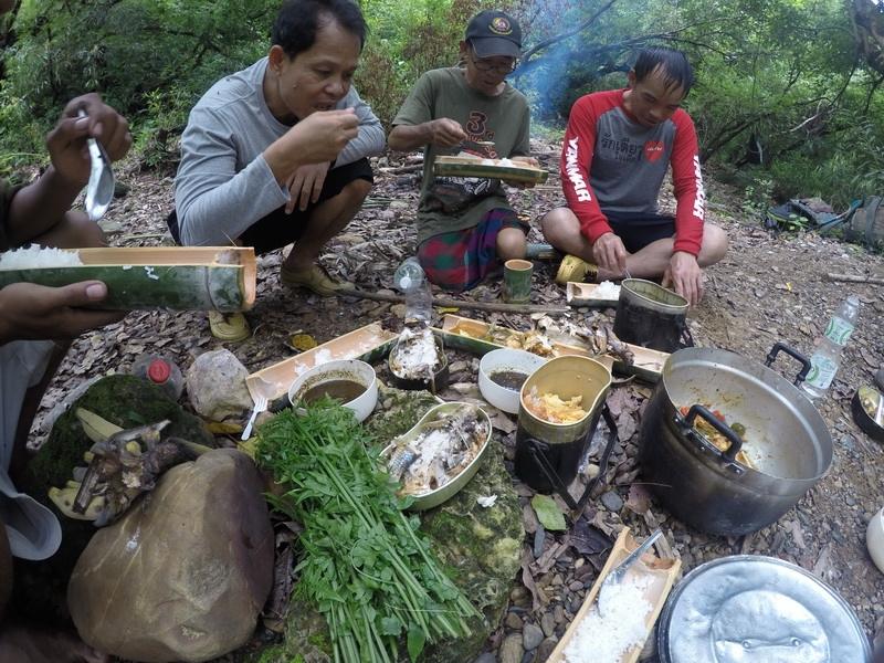 ผักกูดกองใหญ่ไม่ขาดครับ