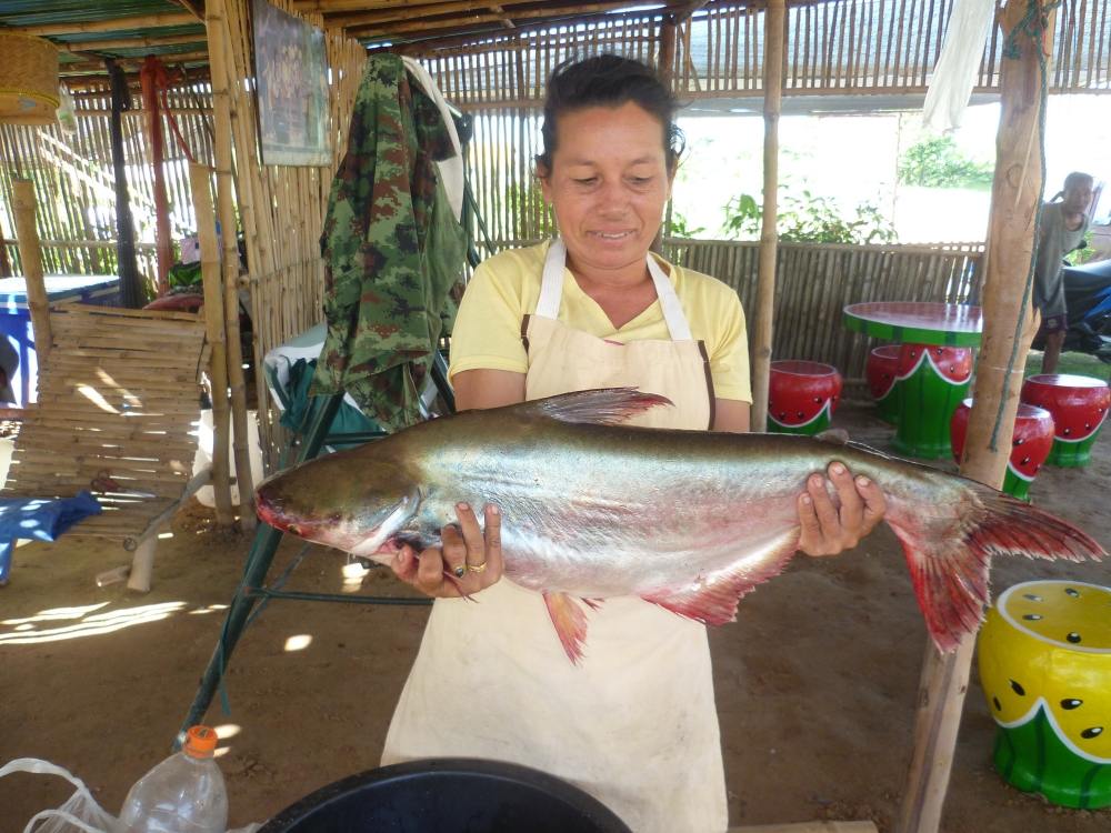 กลับถึงร้านเมียพ่อครัวบอกขอซักรูปหน่อย จัดไปซิ