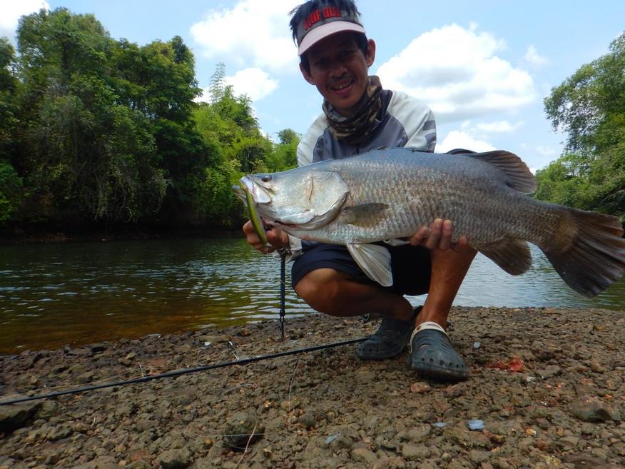 อีกภาพครับ ผลงานจาก Rapala shadow rap 11 jerkbait slowsinking   :cheer: :cheer: :cheer: :cheer:


