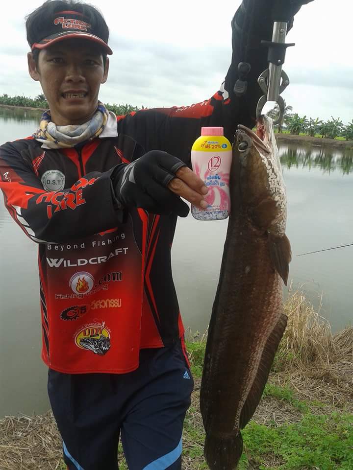  [b]actionlure ส่งเข้าประกวดกับเขาเหมือนกัน  ป๊าดดดดดดดดดดดด นี่มันปลาช่อนหรือชะโดเนี่ย[/b]  


 