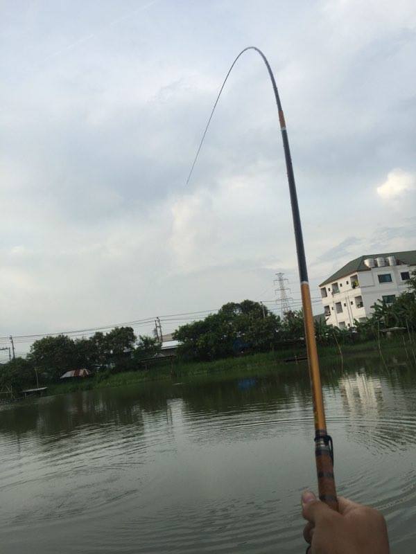 set hook เข้าให้