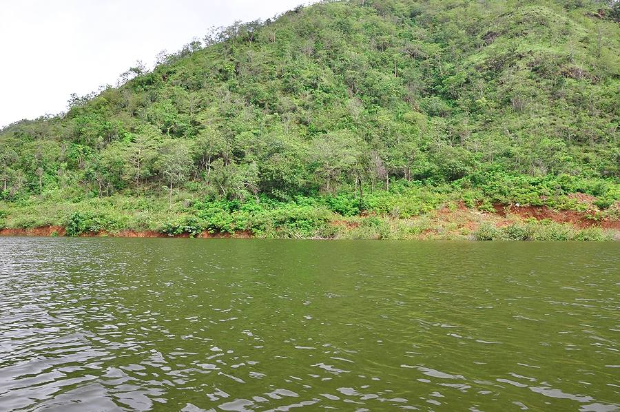  [center]ขับเรือสูดอากาศไปด้วย ไม่มีควันไฟ ไม่มีสารพิษ[/center]