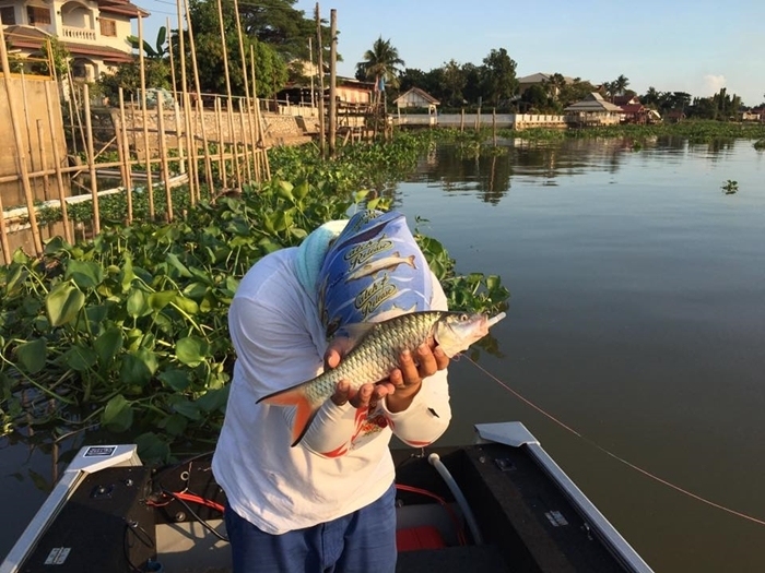 หมายรับแขกจริงๆ 

เสาร์ อาทิตย์ เรือเพียบ  :grin: :laughing: