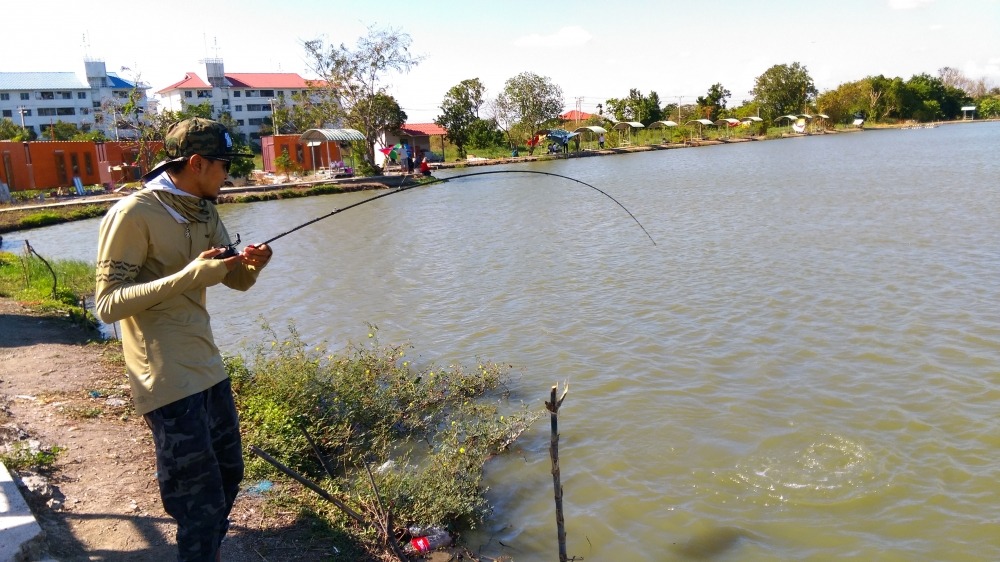 ไม่ใช่ปลาช่อนเเระ งานมาทันที กับคันเวท4-10lb กำลังเบรคของรอกแค่3.5 ยาวไปๆ