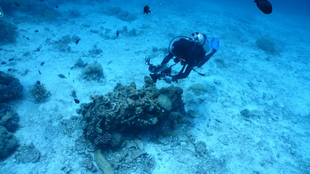  :grin: :grin:ท่านนี้เป็นผู้เชี่ยวชาญการปลูกปะการัง จากมาเลย์เซีย กำลังบันทึก vdo เพื่อเก็บใว้เป็นข้