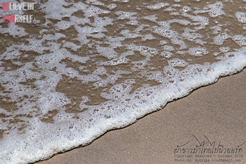 ขอบคุณธรรมชาติ ณ Jones Beach ผมสัญญาว่า ผมจะกลับไปที่นั่นอีก  [i][Subtitle: Thanks to the natural at