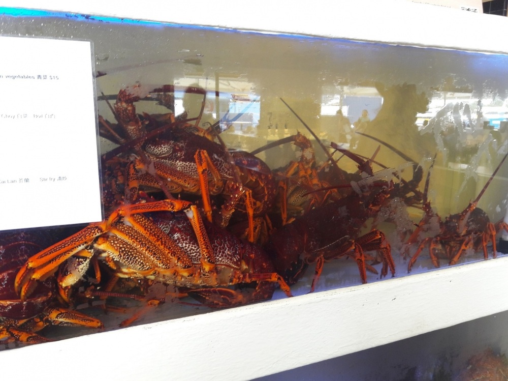 Lobster สดๆก็มีครับ ราคาคิดเป็นเงินไทยประมาณ 4500/โล ตัวนึงผมคิดว่าไม่มีต่ำกว่าโลครึ่ง 