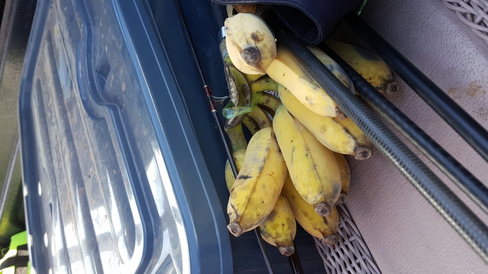 เคยมีคนบอกในสายออฟโรดว่าห้ามเอากล้วยขึ้นรถ