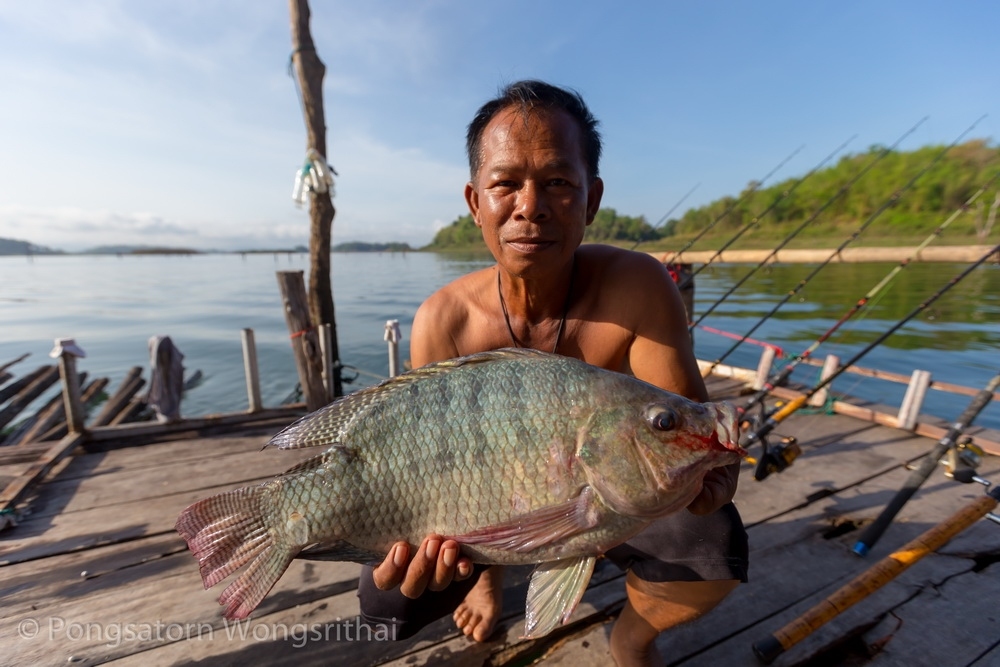 กลับมาถึงแพพัก มีนิลใหญ่เข้ามาฉวยเหยื่อหน้าดิน ได้เพิ่มมาอีกตัว