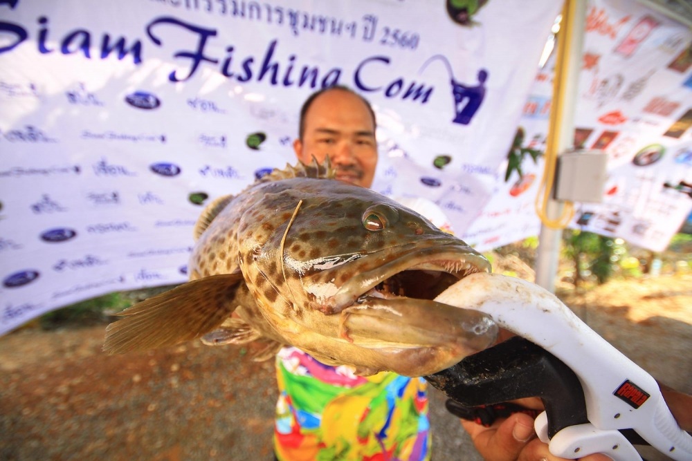  ภาพการแข่ง  " เก๋า.. สยามเว้ยเห้ยยย "     ณ. พิศมัย ฟาร์ม ต. ชำราก อ.เมืองตราด  จ.ตราด ใน วันอาทิ