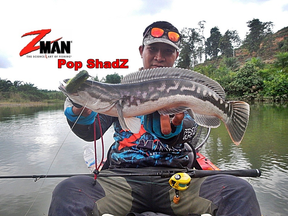  
 [center][b]เหยื่อยาง Z-Man Pop Shadz 5'' 
Rod : HR EVOLUTION NET-V Line 10-17 lb 
Reel : Dai