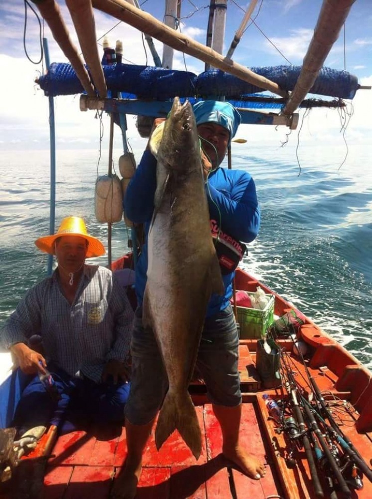 ปลา โทรฟี่แห่งปี ของเรือ ไต๋นัย ไอ้ชอน ไฅท์ 30โล