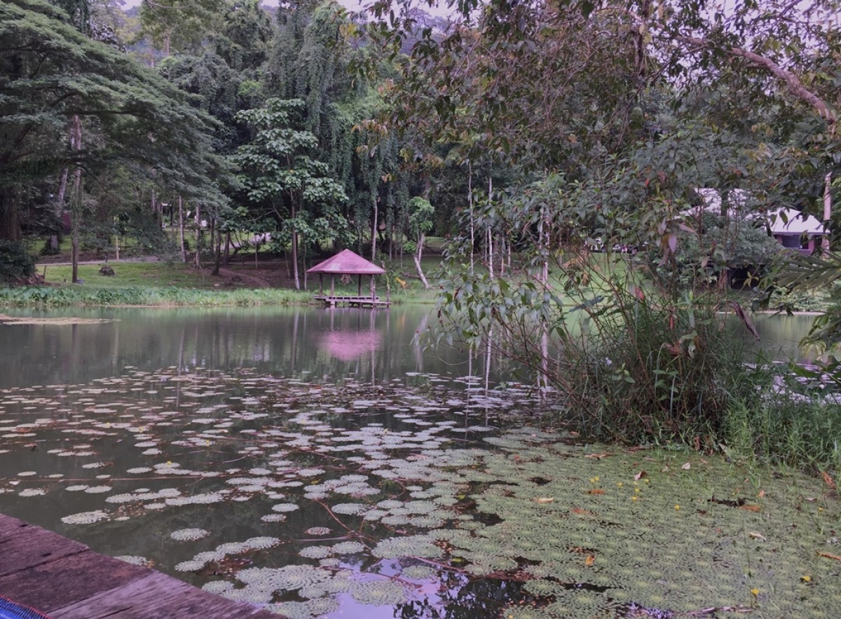 นอนริมสระน้ำ อากาศดีครับ