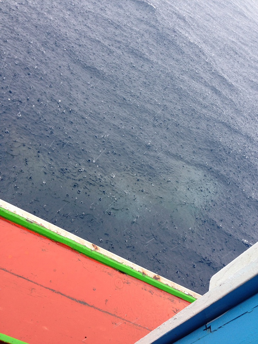 วันที่ 2 เราถิอว่าโชดดีได้เจอกับเจ้าฉลามวาฬมาว่ายเล่นค้างเรือ พอดีฝนตกเลยถ่ายไม่ชัด