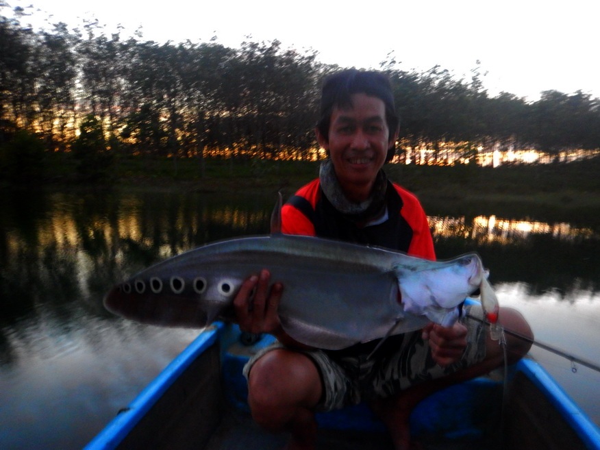 
ผลงานโดยเหยื่อ Rapala fat rap 7 deep runner  :smile: :smile: :smile: :cheer: :cheer: :cheer: